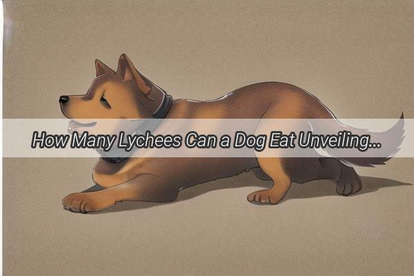 How Many Lychees Can a Dog Eat Unveiling the Surprising Truth